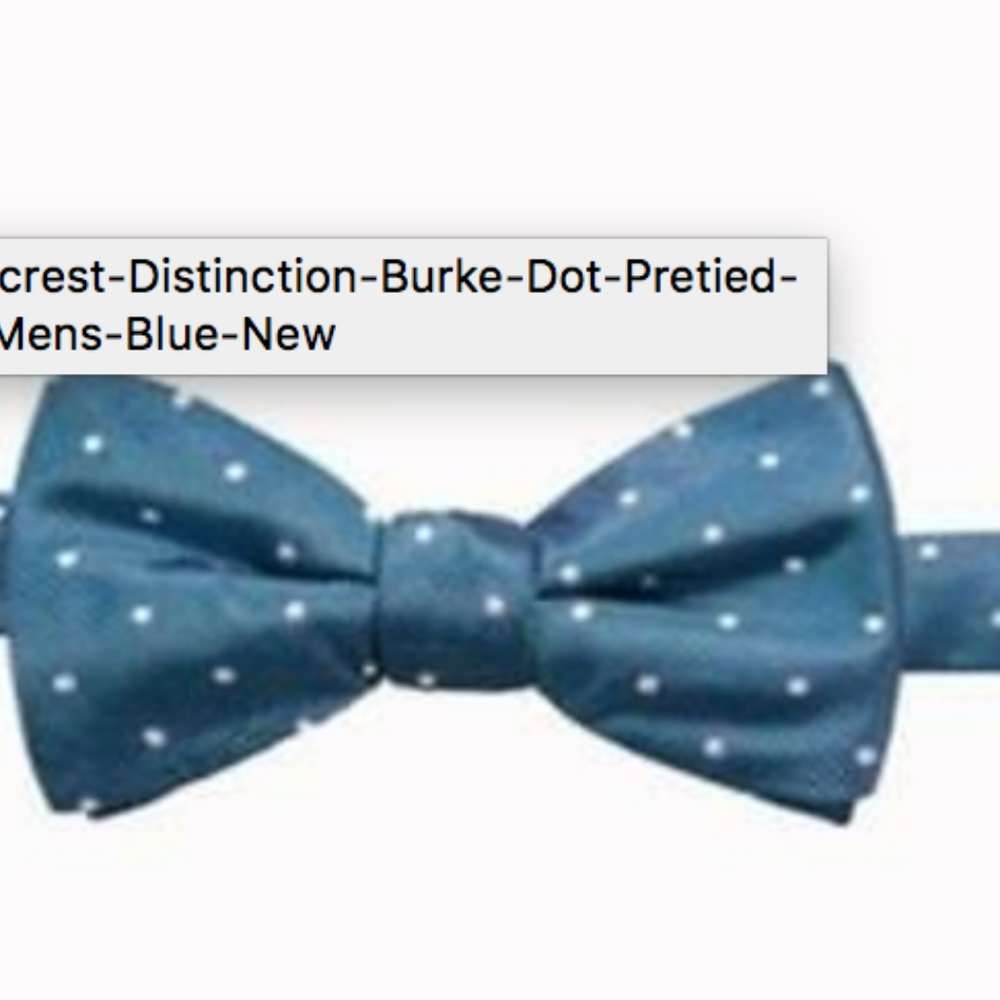 NWT $49 Ryan Seacrest Distinction silk bow tie